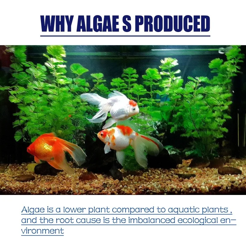 50g High Efficiency Algaecide  - огляд і ціна Aquarium Plant Order