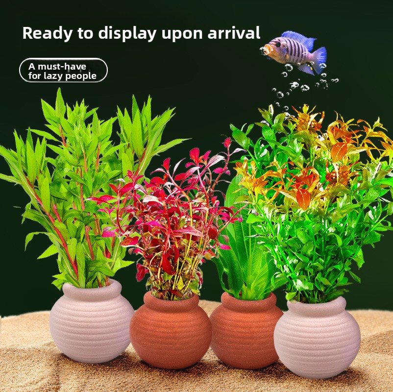 cmomo Aquarium Plant Anchors - - огляд і ціна Planted Aquarium Anubias