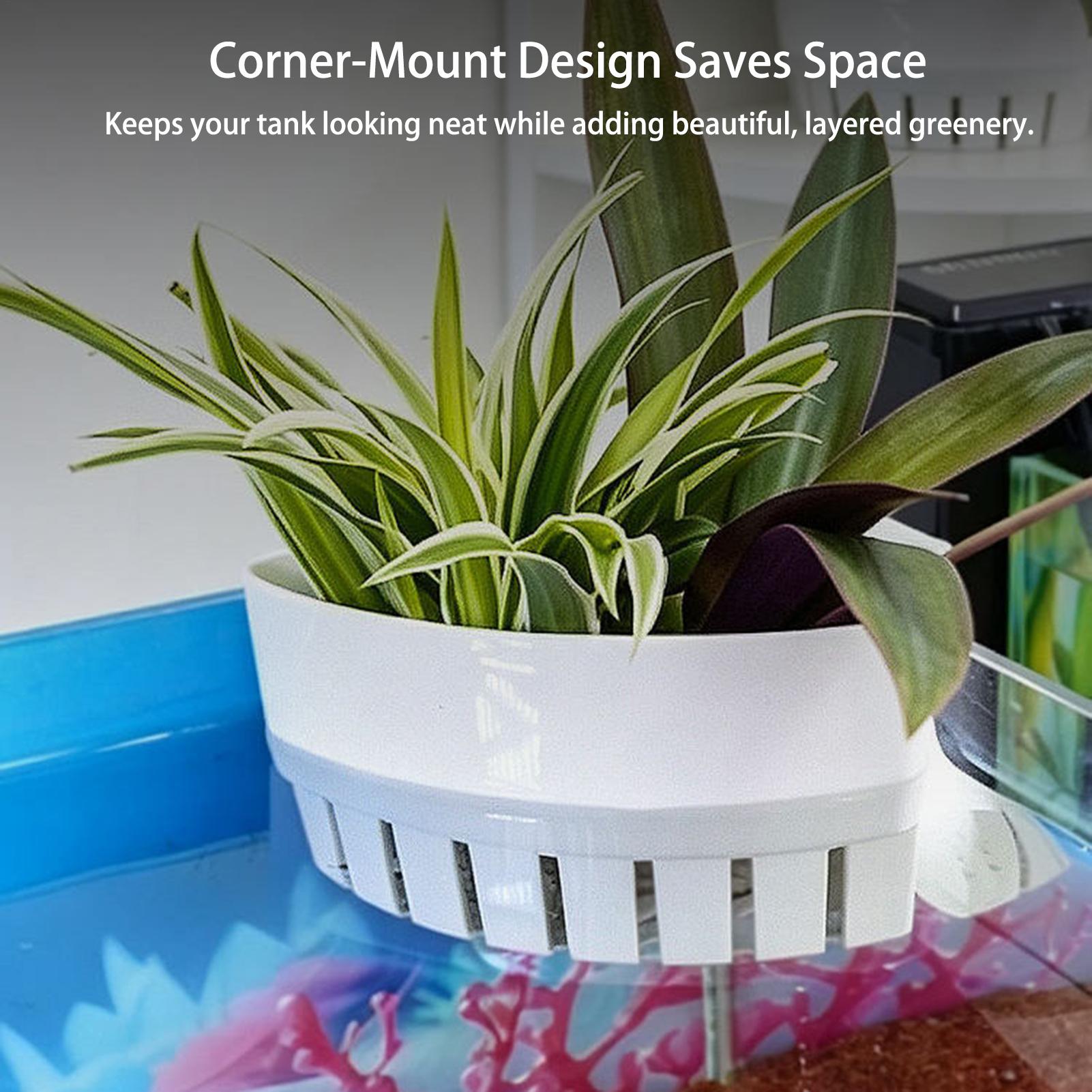 Aquarium Plant Basket Hydropon - огляд і ціна Aquarium Planted Background