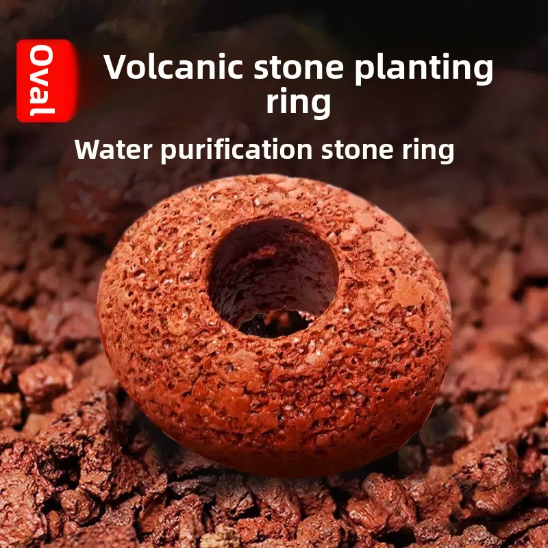Aquarium Volcanic Rock Fish Ta - огляд і ціна Planted Aquarium Care