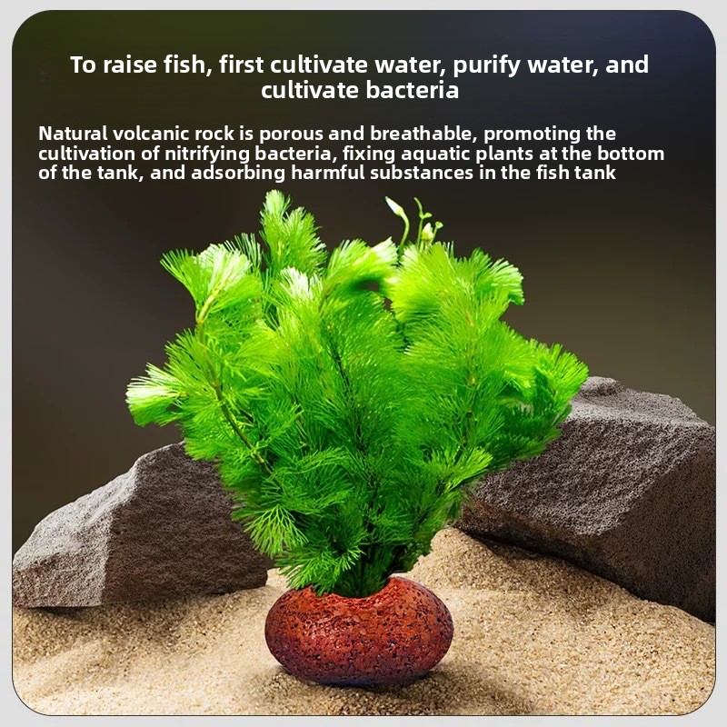 Aquarium Volcanic Rock Fish Ta - огляд і ціна Planted Aquarium Care