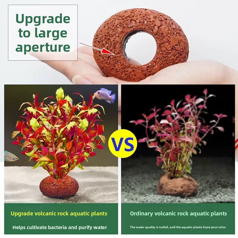 Aquarium Volcanic Rock Fish Ta - огляд і ціна Planted Aquarium Care