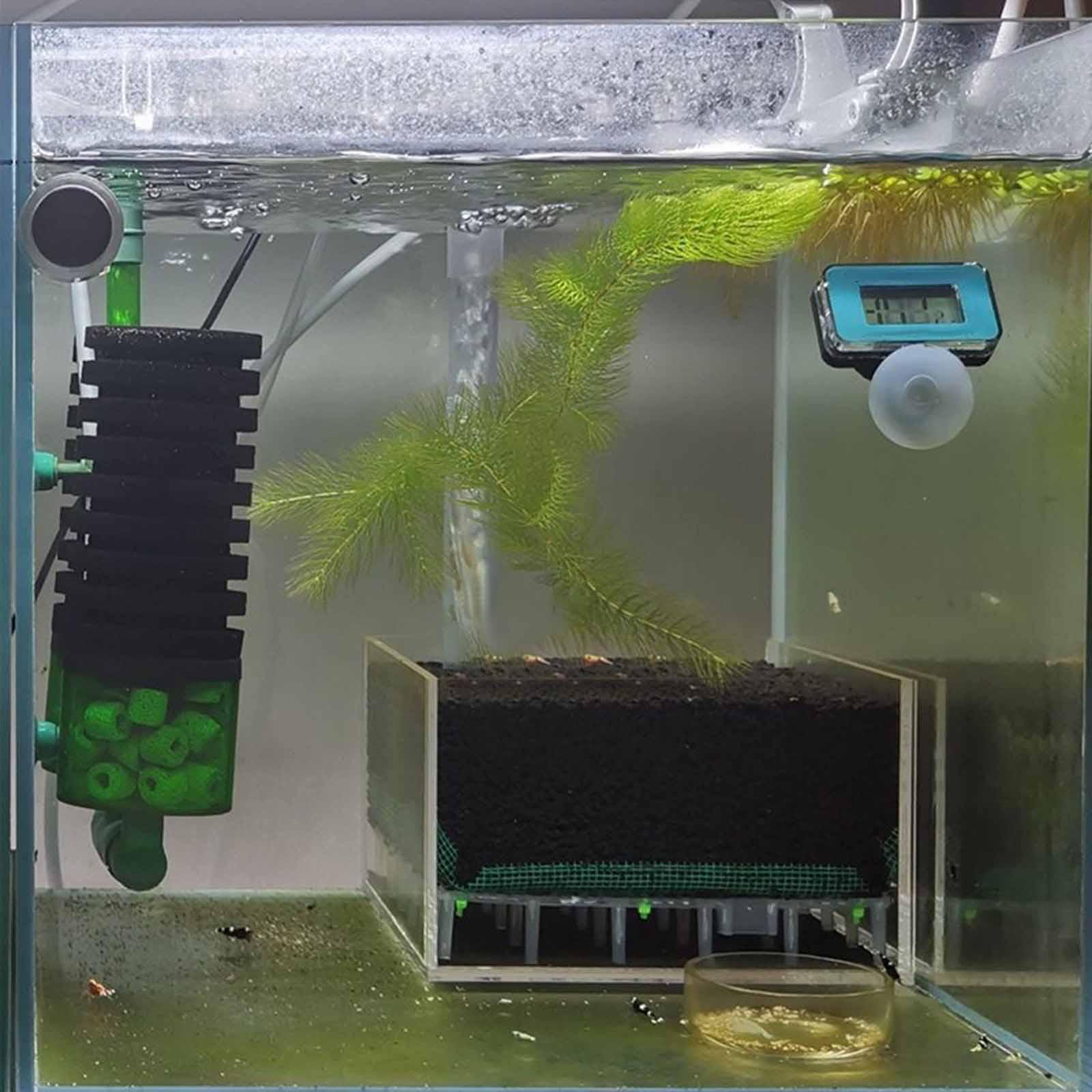 Transparent Acrylic Aquarium F - огляд і ціна Planted Aquarium Undergravel Filter