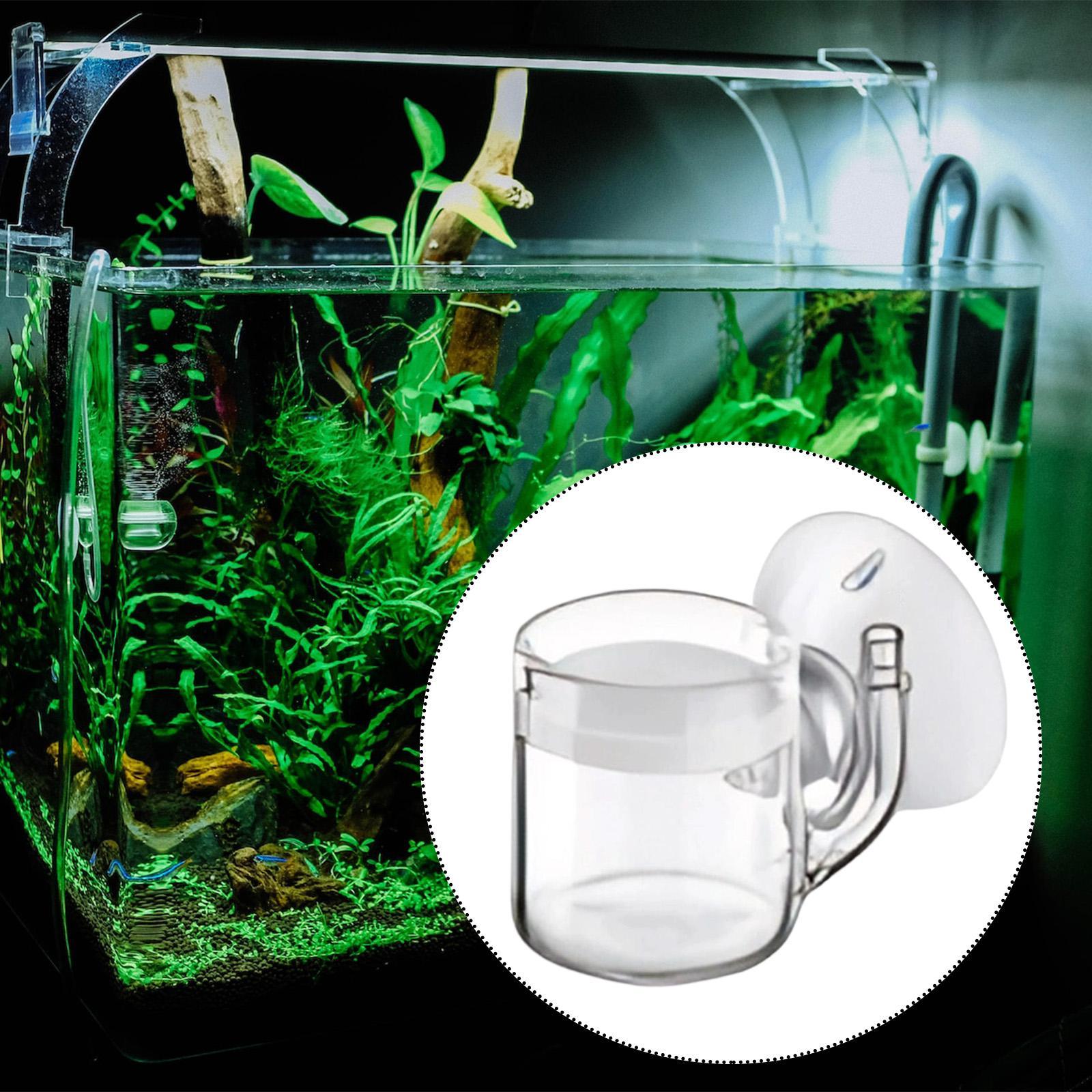Aquarium Diffuser Glass CO2 At - огляд і ціна Planted Aquarium Care