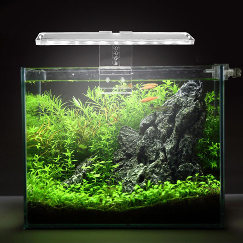 LED Aquarium Lamp Plant Light  - огляд і ціна Planted Aquarium Best Fish