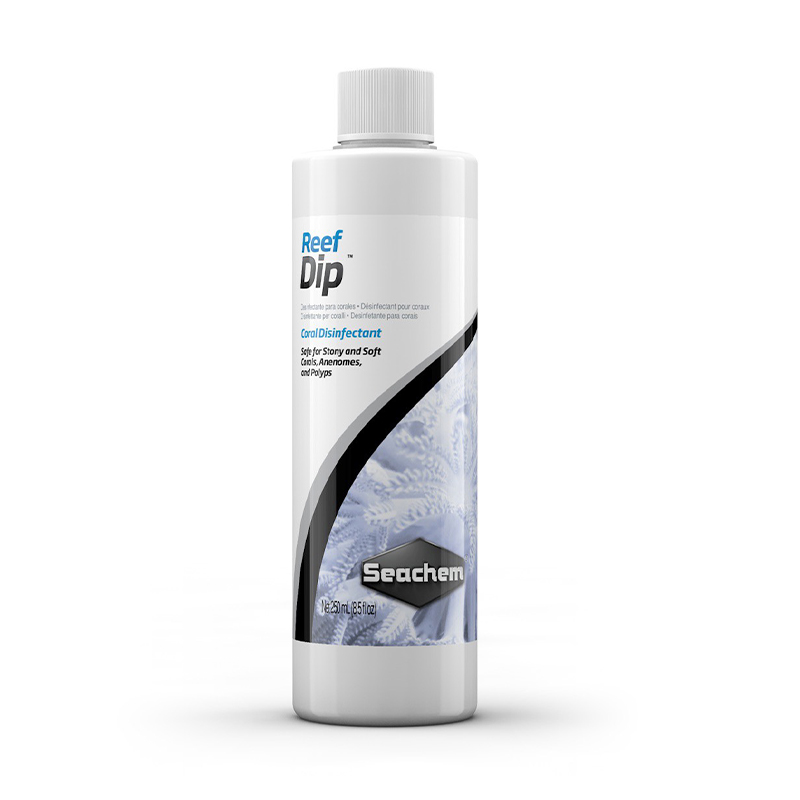 Coral Protectant Flatworm Remo - огляд і ціна Planted Aquarium Care