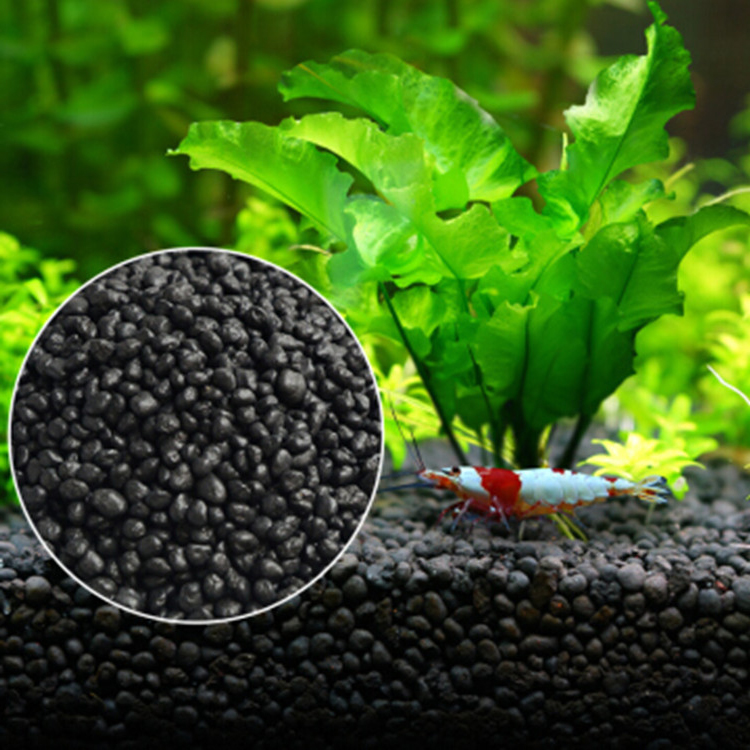 Aquarium Plant Seeds Soil Fish - огляд і ціна Planted Aquarium Care